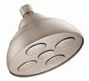 Danze Lamp SHowerhead