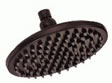 Danze Sunflower Showerhead