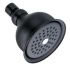 Danze Victorian Shower