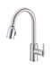 Danze Parma D457058SS Pullout Faucet